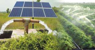 सौर पंप स्थापित करण्यात महाराष्ट्र देशात आघाडीवर