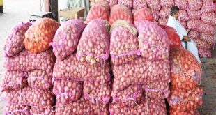 Onion Price : कांद्यावर ४० टक्के निर्यात शुल्क