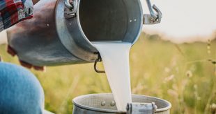 दूध उत्पादक शेतकऱ्यांना मोठा दिलासा